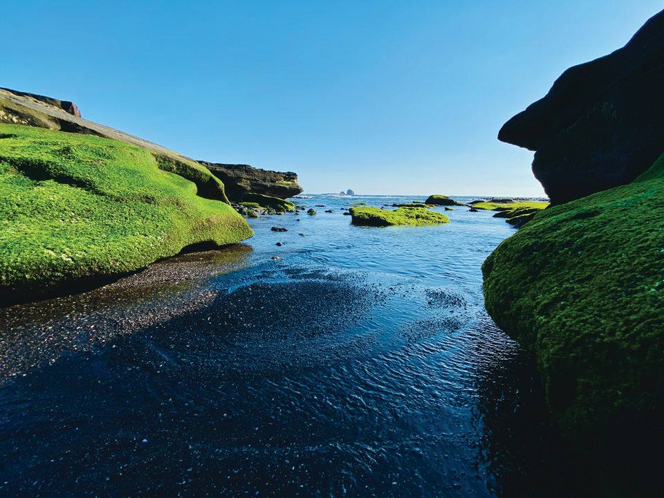 아름답고 싱그러운 초록이끼와 맑고 투명한 바다가 있는 사계해변, 저 멀리 형제섬이 점으로 서 있다.