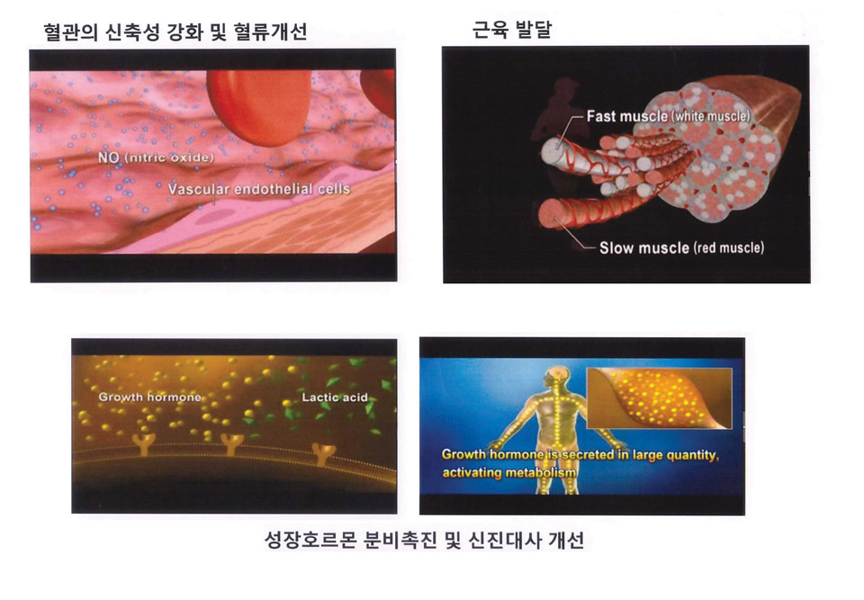 밴드로 혈류 조절하며 운동하면 ‘등산 근육’ 강해져요