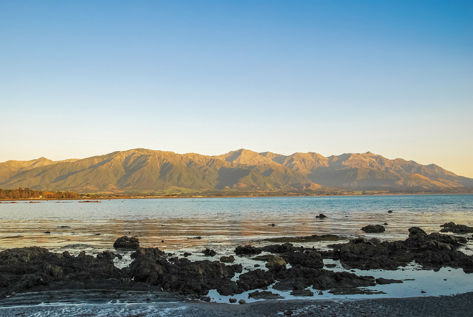 이른 새벽, 카이코라해변과 마주 한 카이코라산맥이 황금빛으로 물들어가고 있다.