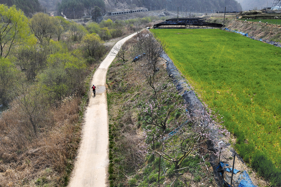 봄빛이 만연한 시골길을 달리는 아내. 히말라야, 아프리카, 유럽, 남미 등 세계 곳곳을 아내와 함께 자전거로 여행하였기에 라이딩에 익숙하다.