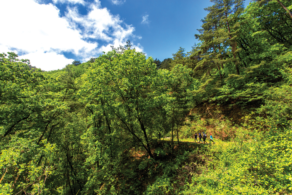 국가숲길 1호로 지정된 백두대간트레일 홍천 아침가리 구간을 지나고 있다. 