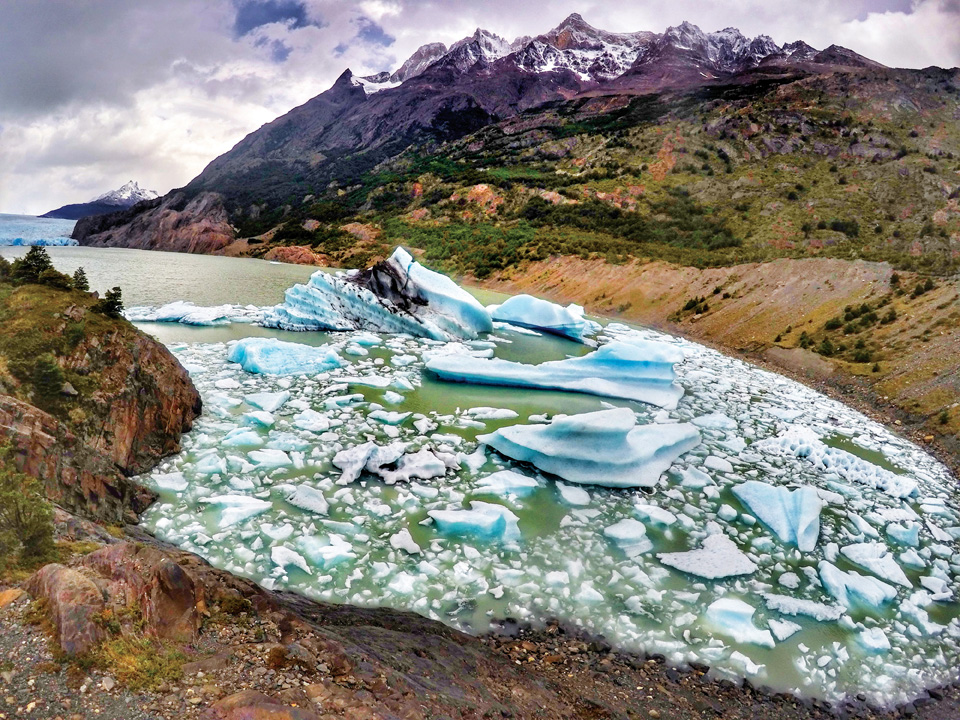 거대한 그레이 빙하에서 떨어져 나온 빙하 조각들이 그레이 호수의 한켠에 모여 있다.