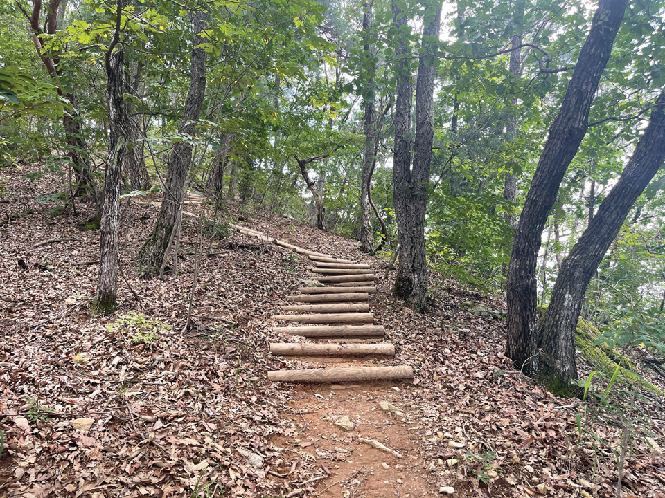간현봉까지는 계속 오르막길과 계단이 이어지지만 한적한 숲의 향기를 즐길 수 있다.

