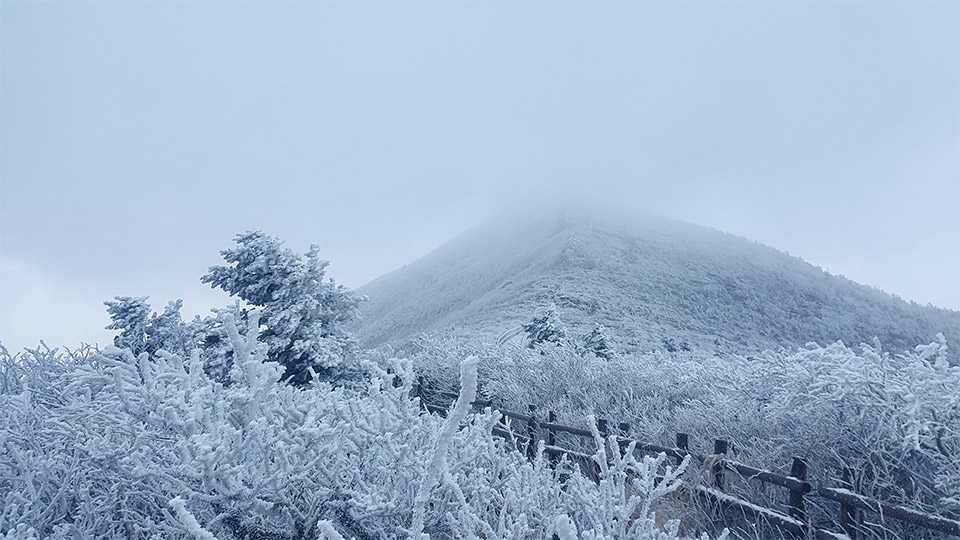 저체온증으로 2명의 등산객이 사망한 다음날인 11월 10일 아침의 대청봉 일대. 11월이지만 설악산 주능선은 한겨울 풍경이다.   
