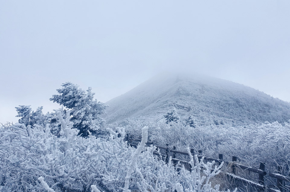 저체온증으로 2명의 등산객이 사망한 다음날인 11월 10일 아침의 대청봉 일대. 11월이지만 설악산 주능선은 한겨울 풍경이다.