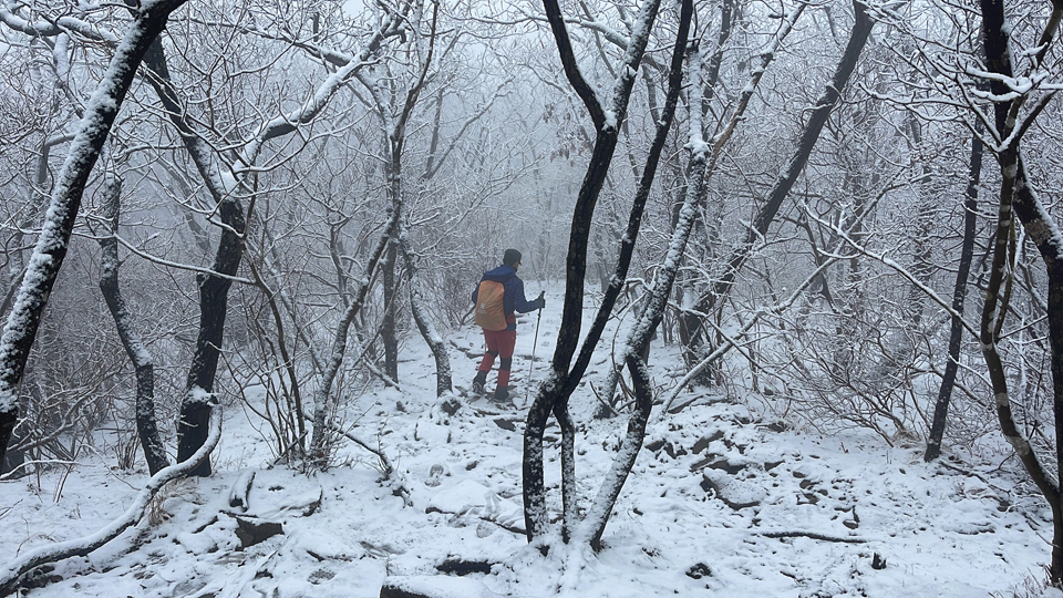 장군봉 주변은 밤새 눈이 내렸는지 나무에도 수북하게 눈이 쌓여 있다.