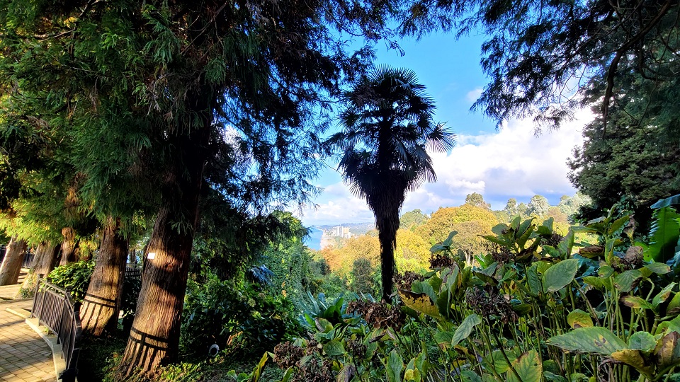 세계에서 가장 큰 바투미 식물원, 걷는 데만 왕복 2시간이 걸린다