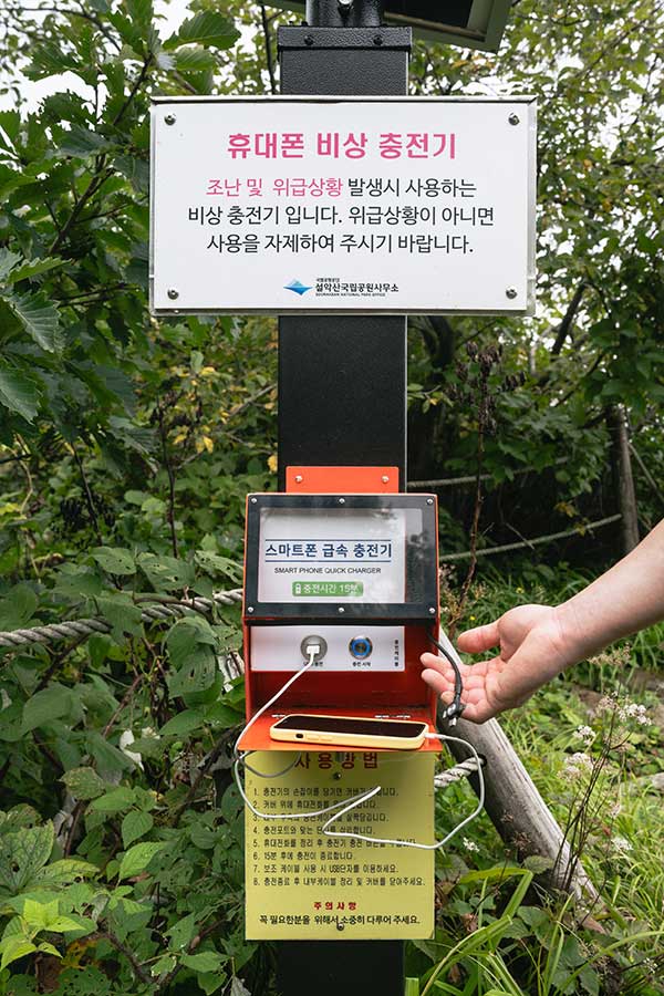[공룡능선 특집] 공룡은 어떻게 생겼나요?