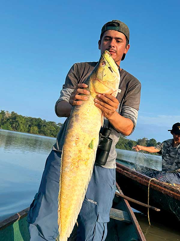 어마무시하게 크고 싱싱한 아마존의 물고기들.