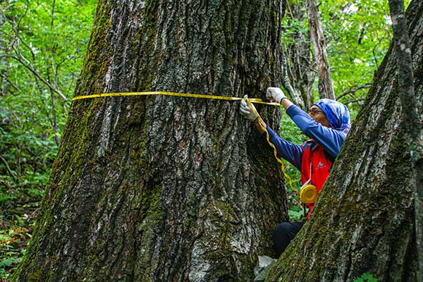 ��Ű�� �Ǽ��������� �������縦 �ϴ� ���, ���γ���5~6���� ���� ����� �־ ������ ������ ū �������� ������ �߷� ����.