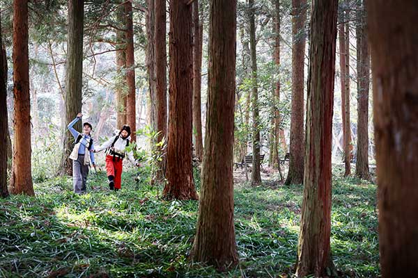 �ĸ��ĸ��� �ﳪ������ ���� ����, ���� ���۵Ǵ� ��õ�� ���� �͸� ���� ������ ���. �η��� ����� õ�⽣���� ª���� ���� �̱׷����� �ִ�.&nbsp;