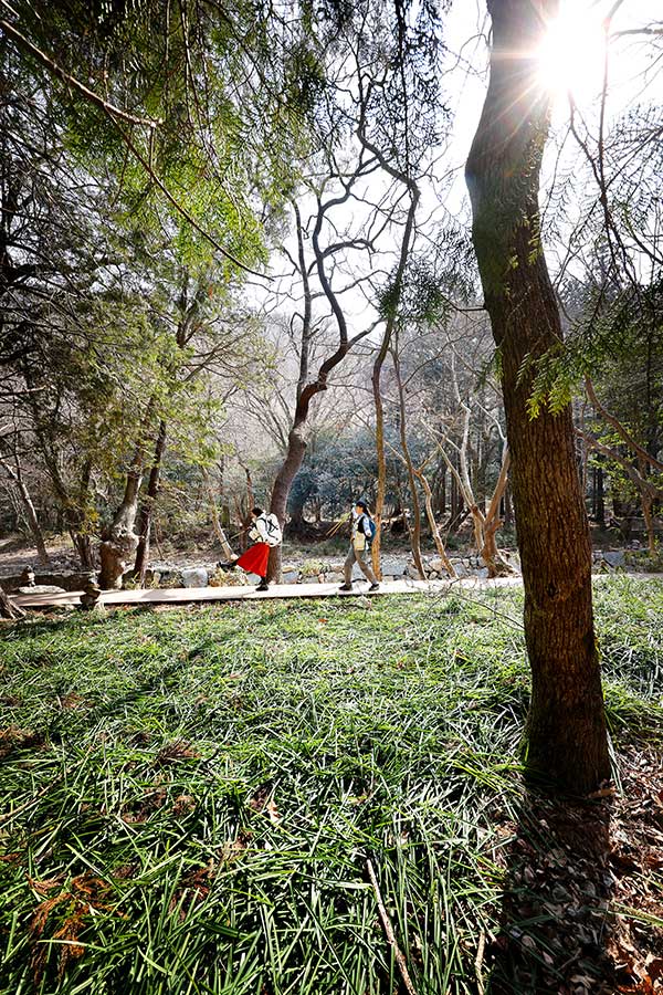 �ʷ����� ������ ������ ����. ��ũ�� ����� ������ ������, ���� �������� ������ ���׷��߸���.&nbsp;