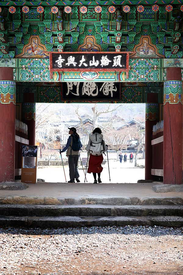 ������� ���Ǽ��簡 ����� ������ �η��� �ɼ��� ������ ����� �ڸ��ϰ� �־�, �������� �ղ�����. &nbsp;