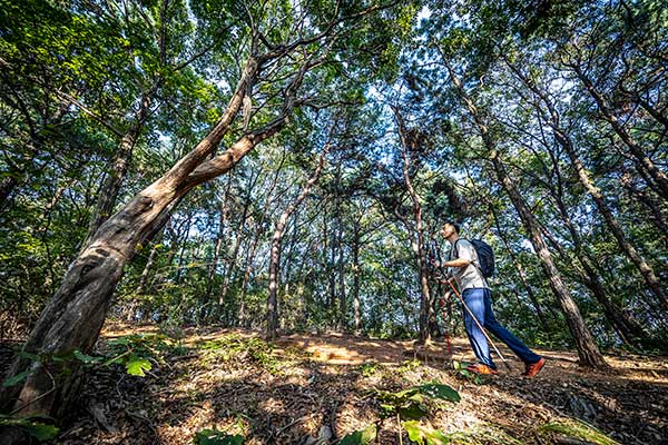 그는 평소 산행할 땐 ‘몸빼바지’류를 즐겨 입는다고 했다. 다만 이 날은 카메라 앞에 선다는 말을 들은 아내의 일성을 듣고 좀 다르게 갖춰 입었다.