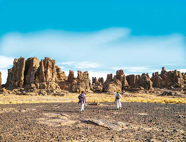 화이트 세파르로 가는 길, 암반이 나무숲처럼 펼쳐진 타실리나제르국립공원의 풍경.