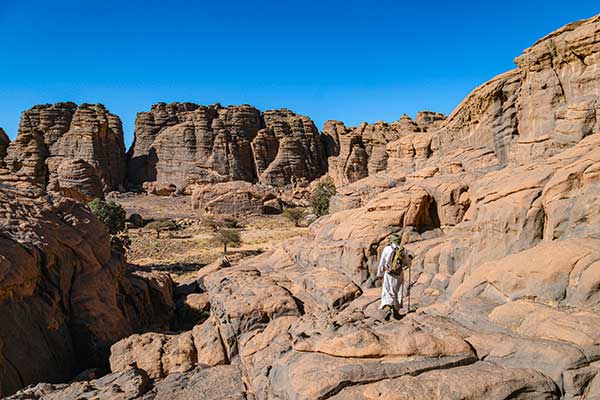 틴 카니에서 오운 아그르브른으로 가는 길. 바위 틈 사이로 고대 사이프러스 나무 군락지가 모습을 드러낸다.