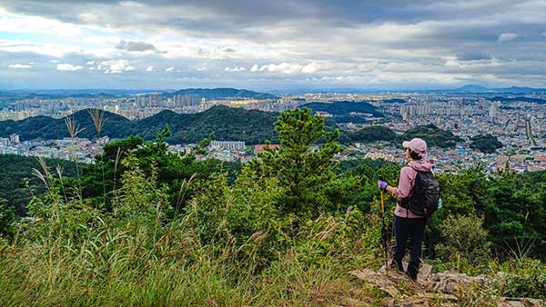 천경대에서 보이는 전주 시가지 전경.