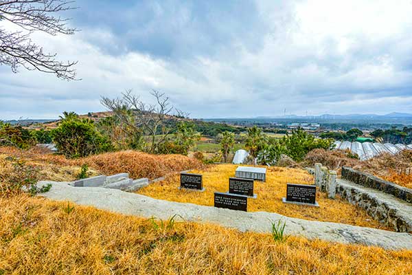 가족묘. 최근의 제주 장례 풍습을 보여 주는 풍광이다.