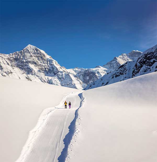 히말라야 트레킹은 네팔 현지 비행기를 타고, 지프차를 타고, 열악한 숙소를 거치며 며칠씩 이동해야 시작할 수 있는 반면, 융프라우는 취리히공항에서 열차를 갈아타고 와서 첫날에 걸을 수 있을 정도로 쾌적하고 안전하다.