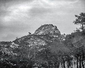 [독자산행기] 57년 전 계룡산 추억을 소환하다 - 뉴스 썸네일 이미지